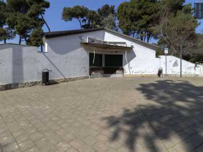 Purtroppo non lontano da qui si trova il degradato edificio che ospitava un tempo il bar...